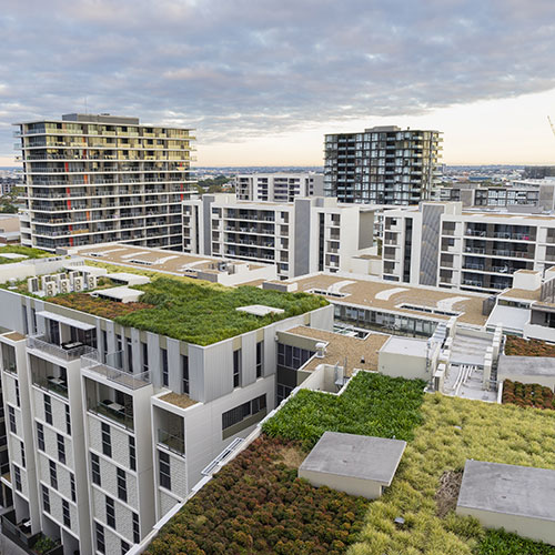 Green Roofing